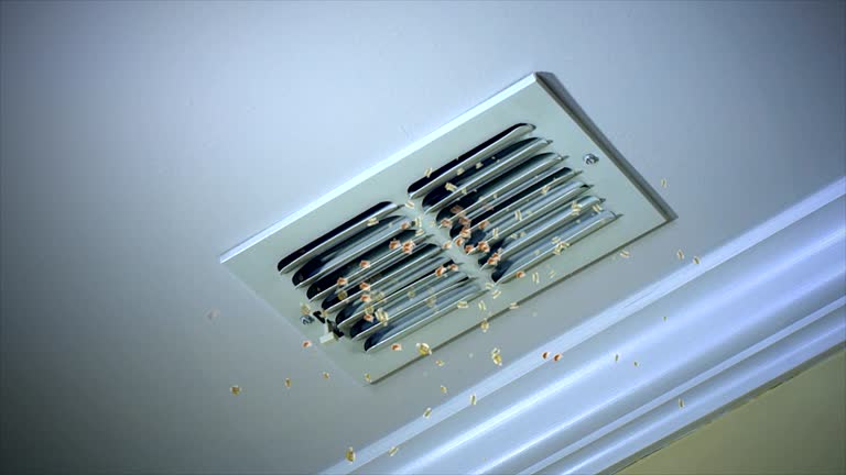 Best Local Air Duct Cleaning Services  in Interlaken, CA