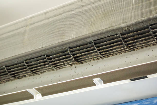 Best Best Air Duct Cleaning Company  in Interlaken, CA